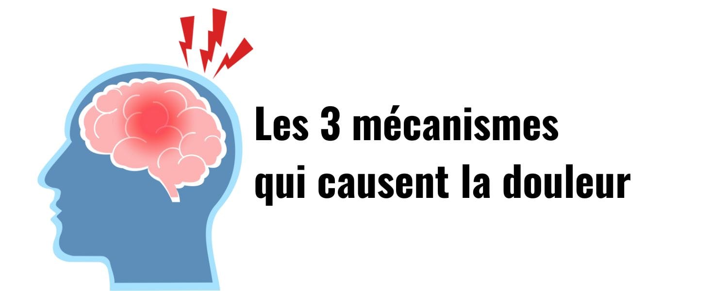 Migraine :
Les 3 mécanismes qui causent la douleur